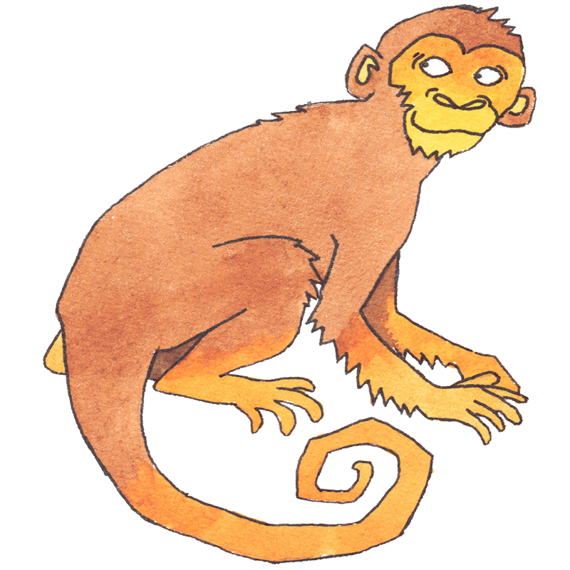 Astrologia cinese | Zodiac Animal Sign La Scimmia